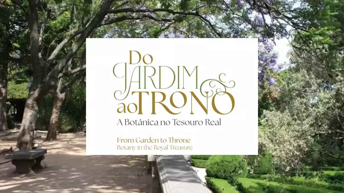 tesouro botânico - visita partilhada com jardim botânico ajuda