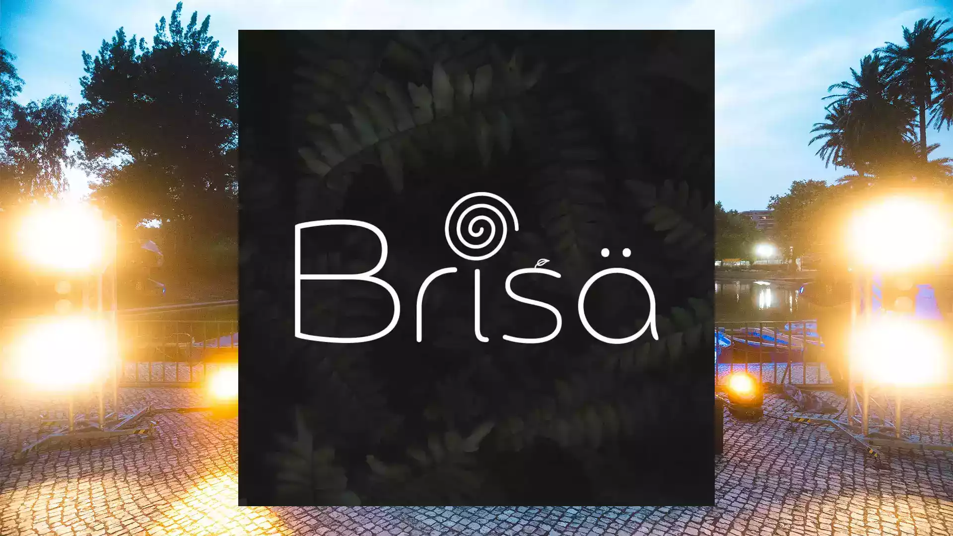 BRISA - 1st Edition
