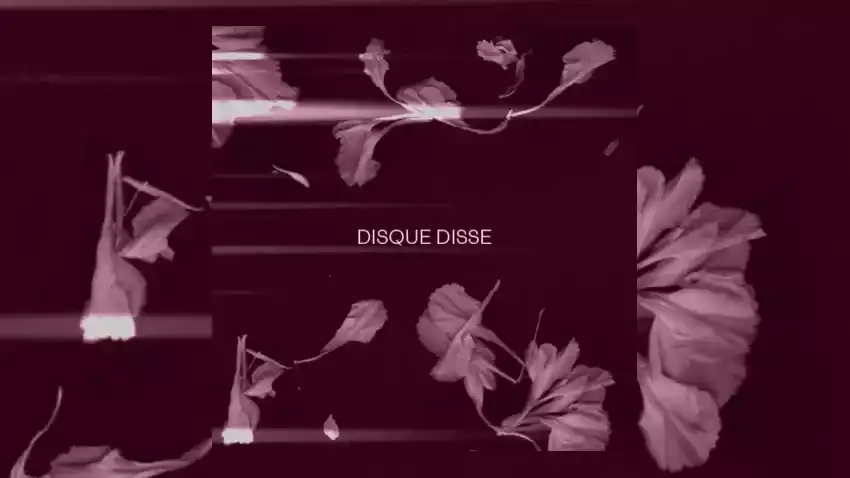 disque disse #33