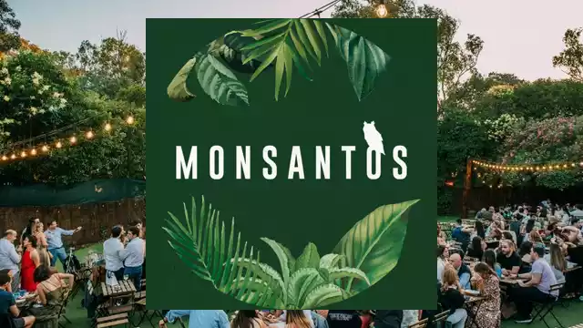 réveillon monsantos 2025/2026