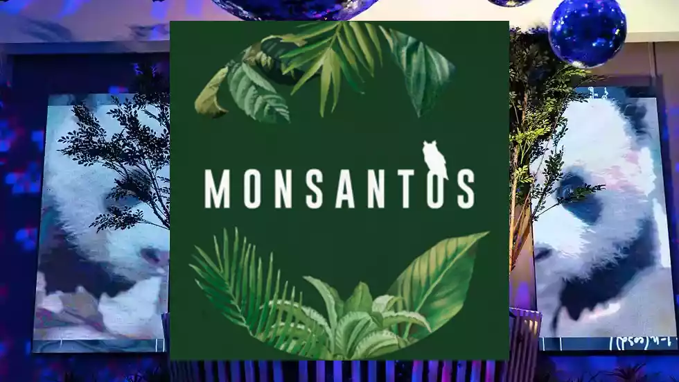 réveillon monsantos 2025/2026