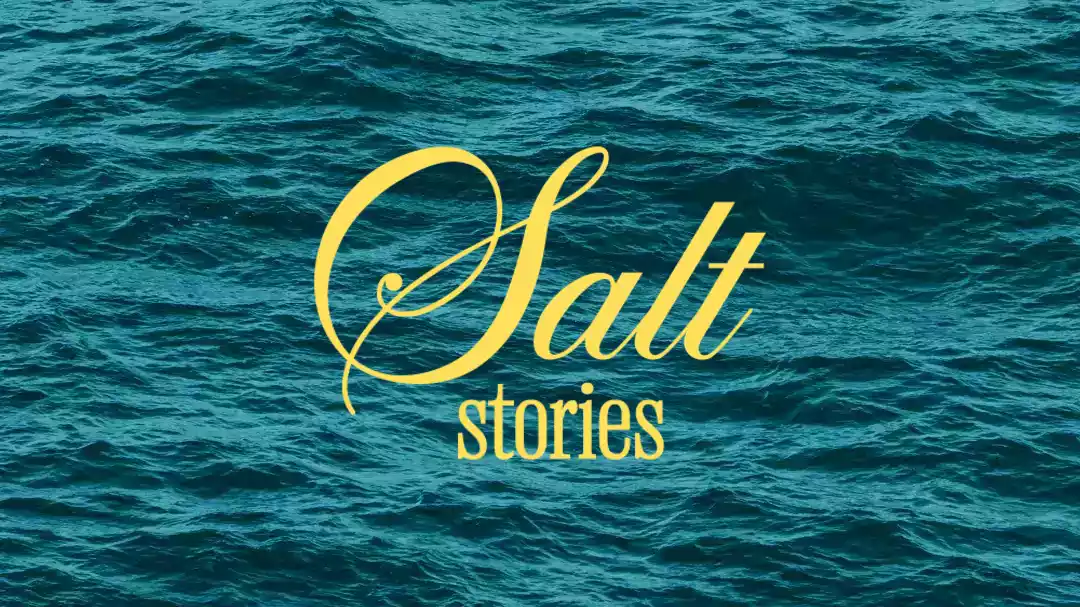 salt stories, #chapter 1 - vn de milfontes