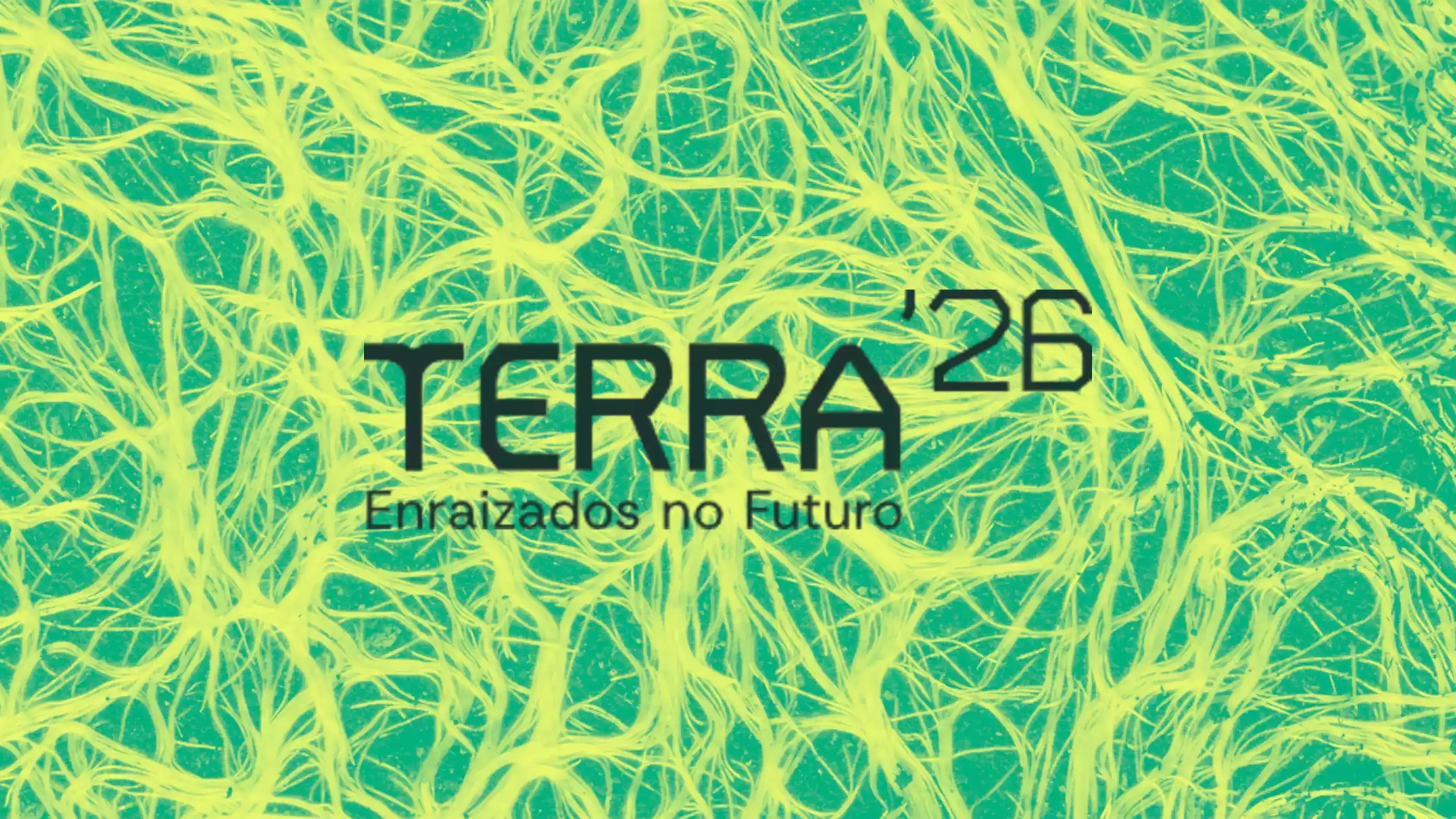 terra'26